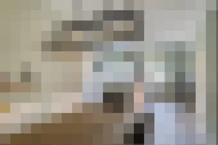 Pastoor Santfoortstraat 9 Gemert thumbnail 15