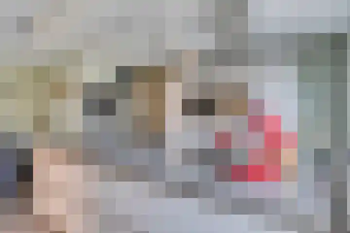 Pastoor Santfoortstraat 9 Gemert thumbnail 17