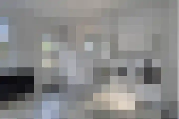 Pastoor Santfoortstraat 9 Gemert thumbnail 24