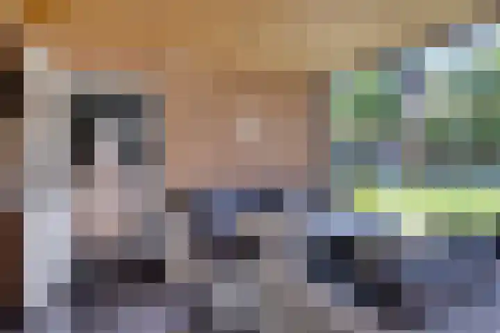 Pastoor Santfoortstraat 9 Gemert thumbnail 26