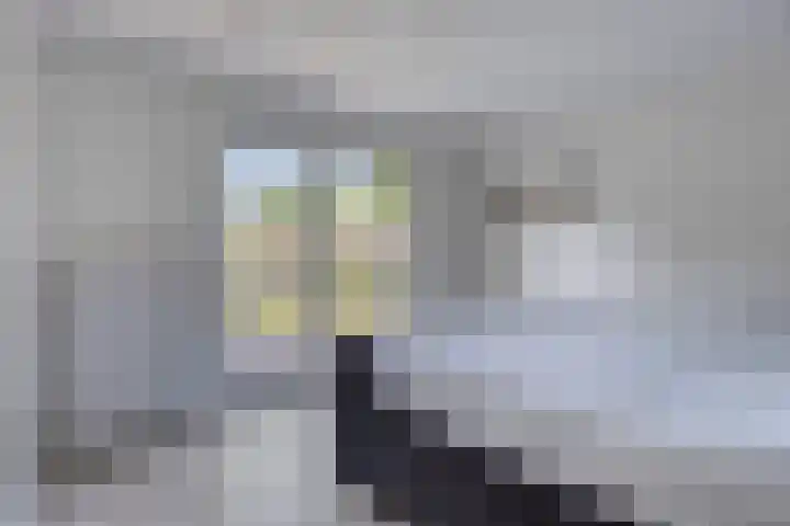 Pastoor Santfoortstraat 9 Gemert thumbnail 29