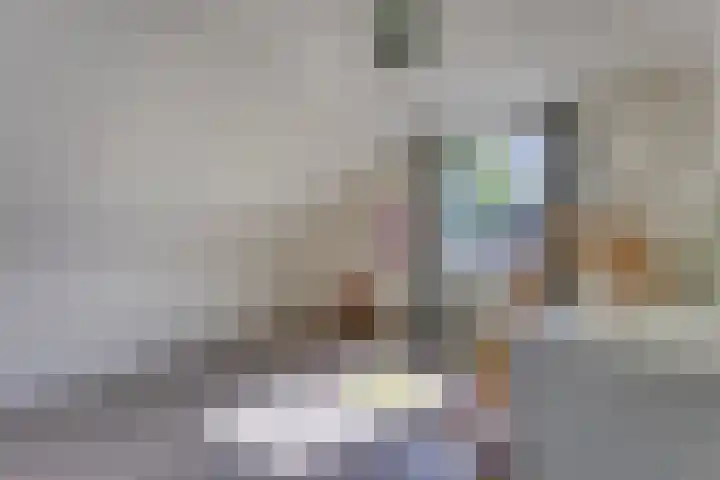 Pastoor Santfoortstraat 9 Gemert thumbnail 37
