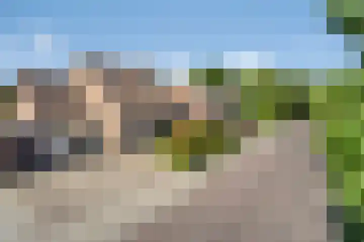 Pastoor Santfoortstraat 9 Gemert thumbnail 4