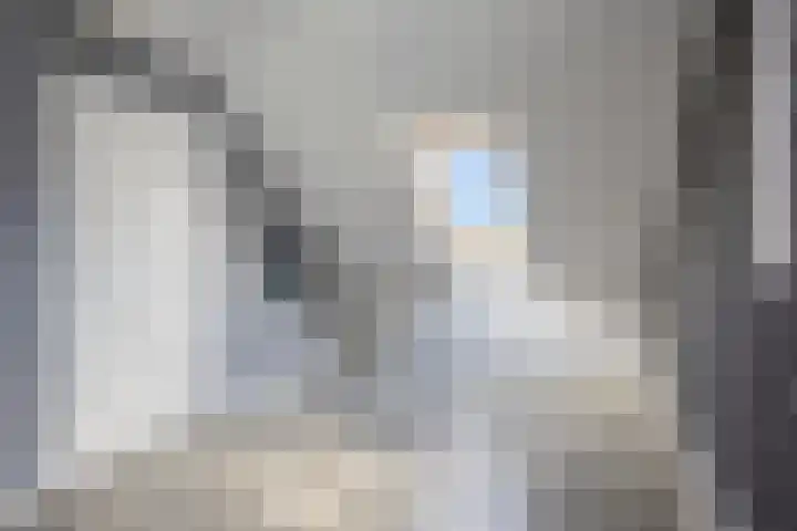 Pastoor Santfoortstraat 9 Gemert thumbnail 41