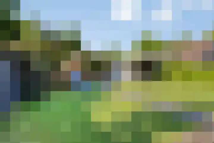 Pastoor Santfoortstraat 9 Gemert thumbnail 42