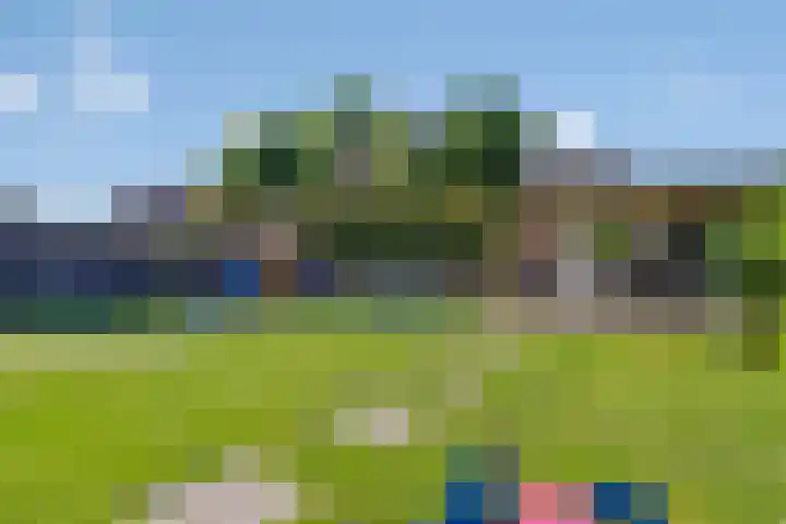 Pastoor Santfoortstraat 9 Gemert thumbnail 43