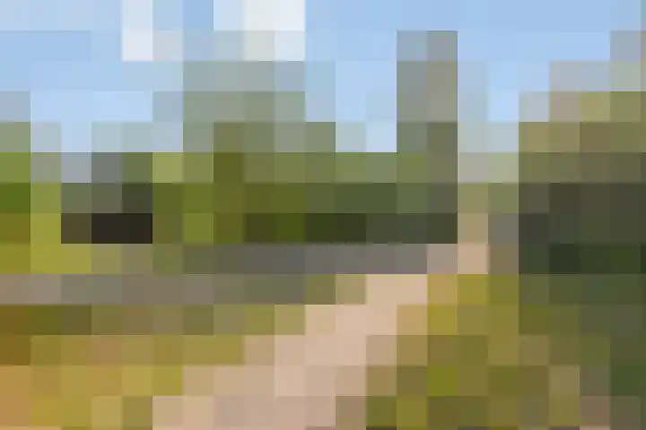 Pastoor Santfoortstraat 9 Gemert thumbnail 53