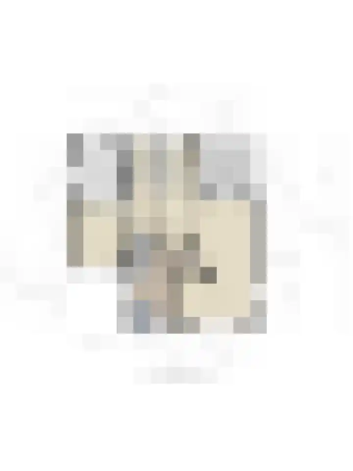 Pastoor Santfoortstraat 9 Gemert thumbnail 57