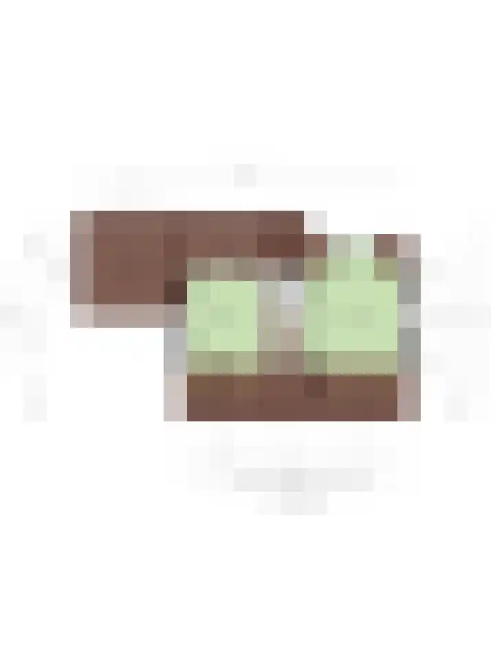 Pastoor Santfoortstraat 9 Gemert thumbnail 59