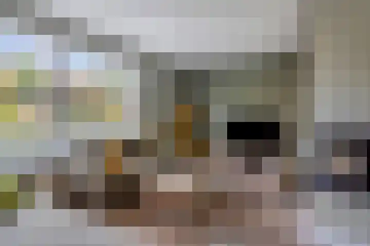 Pastoor Santfoortstraat 9 Gemert thumbnail 7