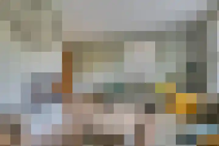 Pastoor Santfoortstraat 9 Gemert thumbnail 8