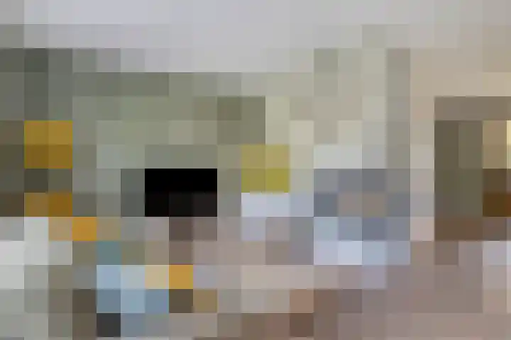 Pastoor Santfoortstraat 9 Gemert thumbnail 9