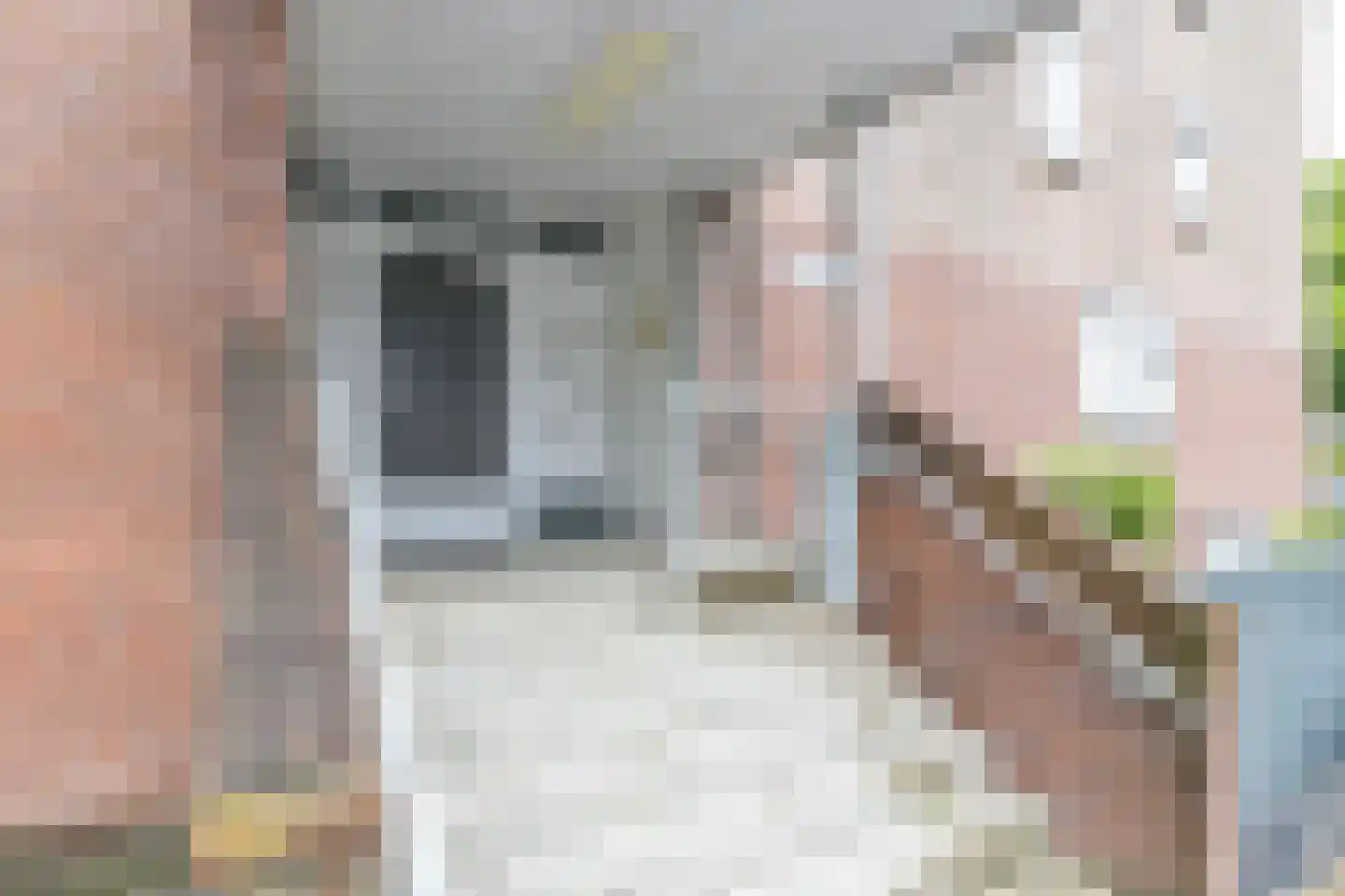 Pastoor Savelbergstraat 108 Brunssum thumbnail 25