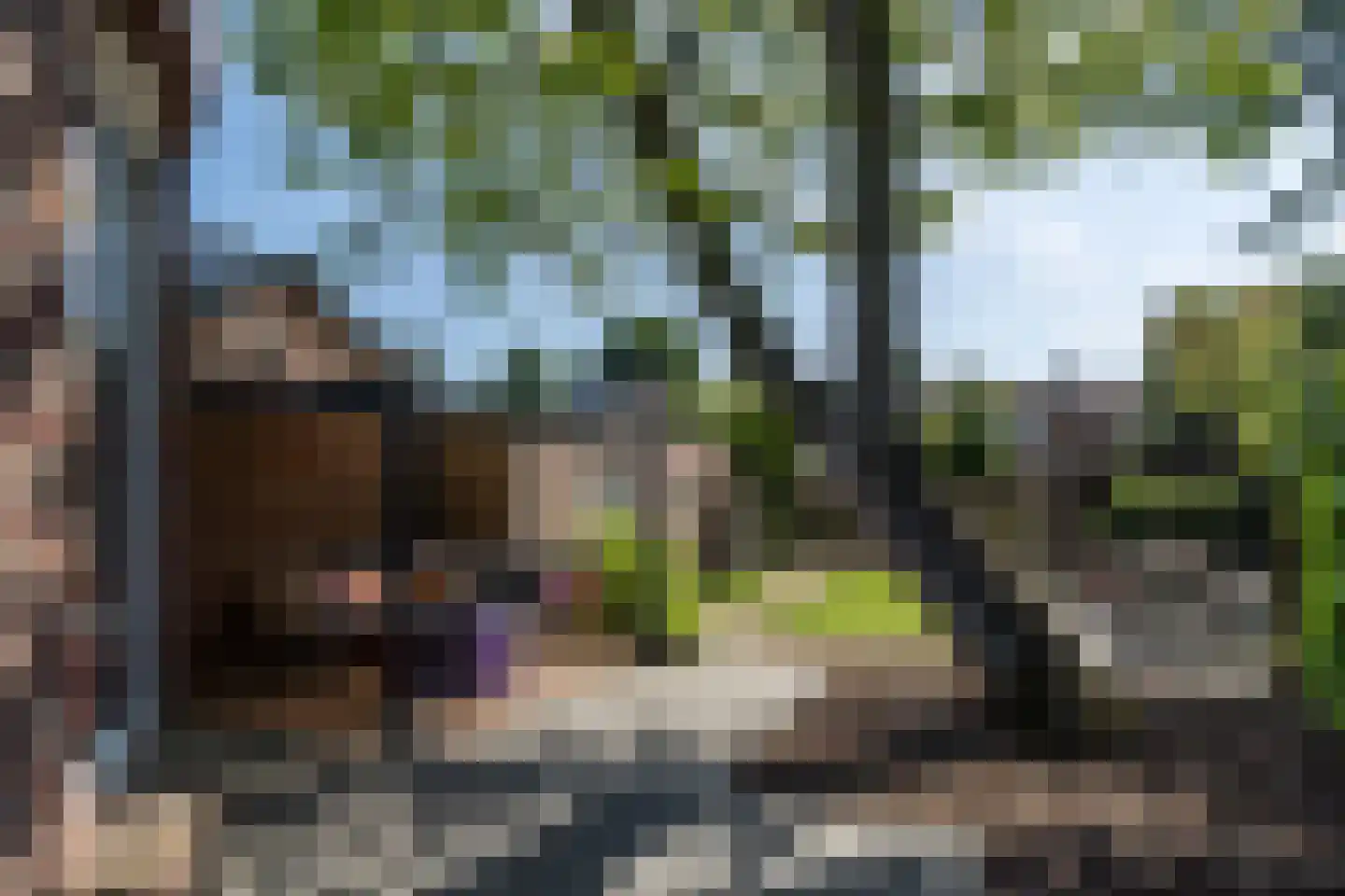 Pastoor Savelbergstraat 2 Brunssum thumbnail 35