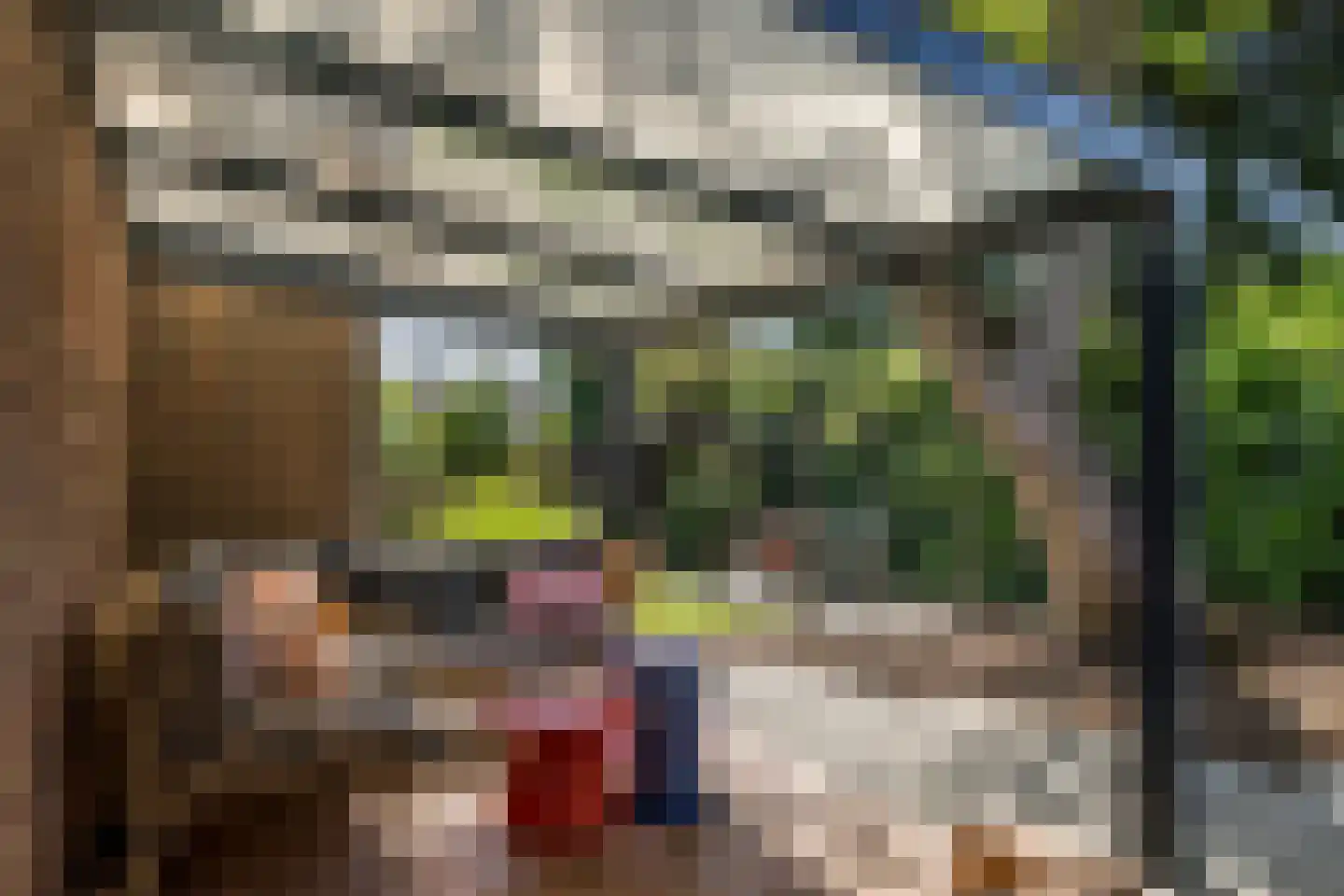 Pastoor Savelbergstraat 2 Brunssum thumbnail 37