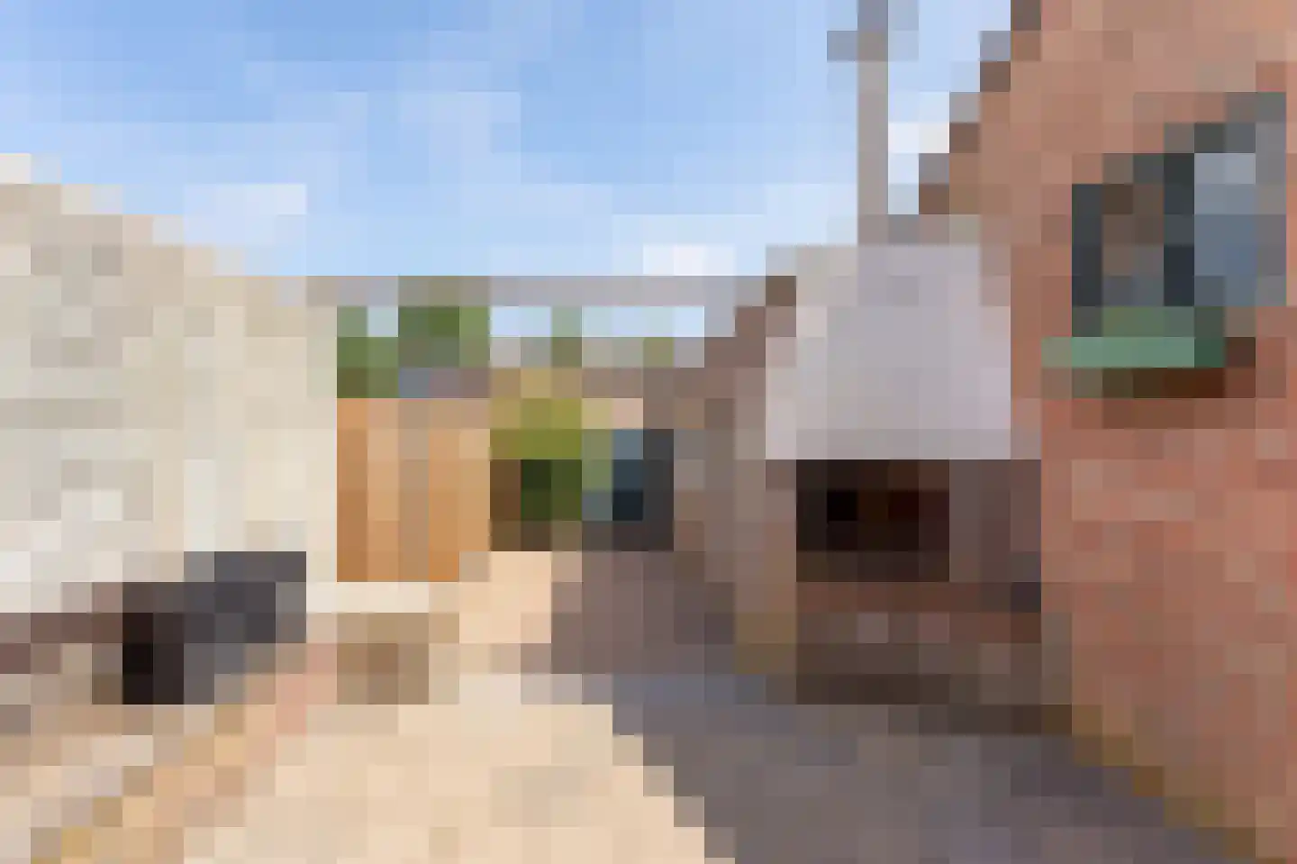 Pastoor Savelbergstraat 4 Brunssum thumbnail 19