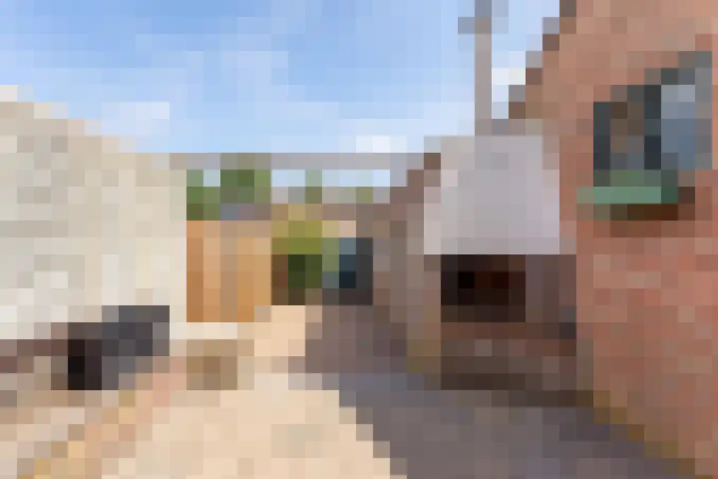Pastoor Savelbergstraat 4 Brunssum thumbnail 19