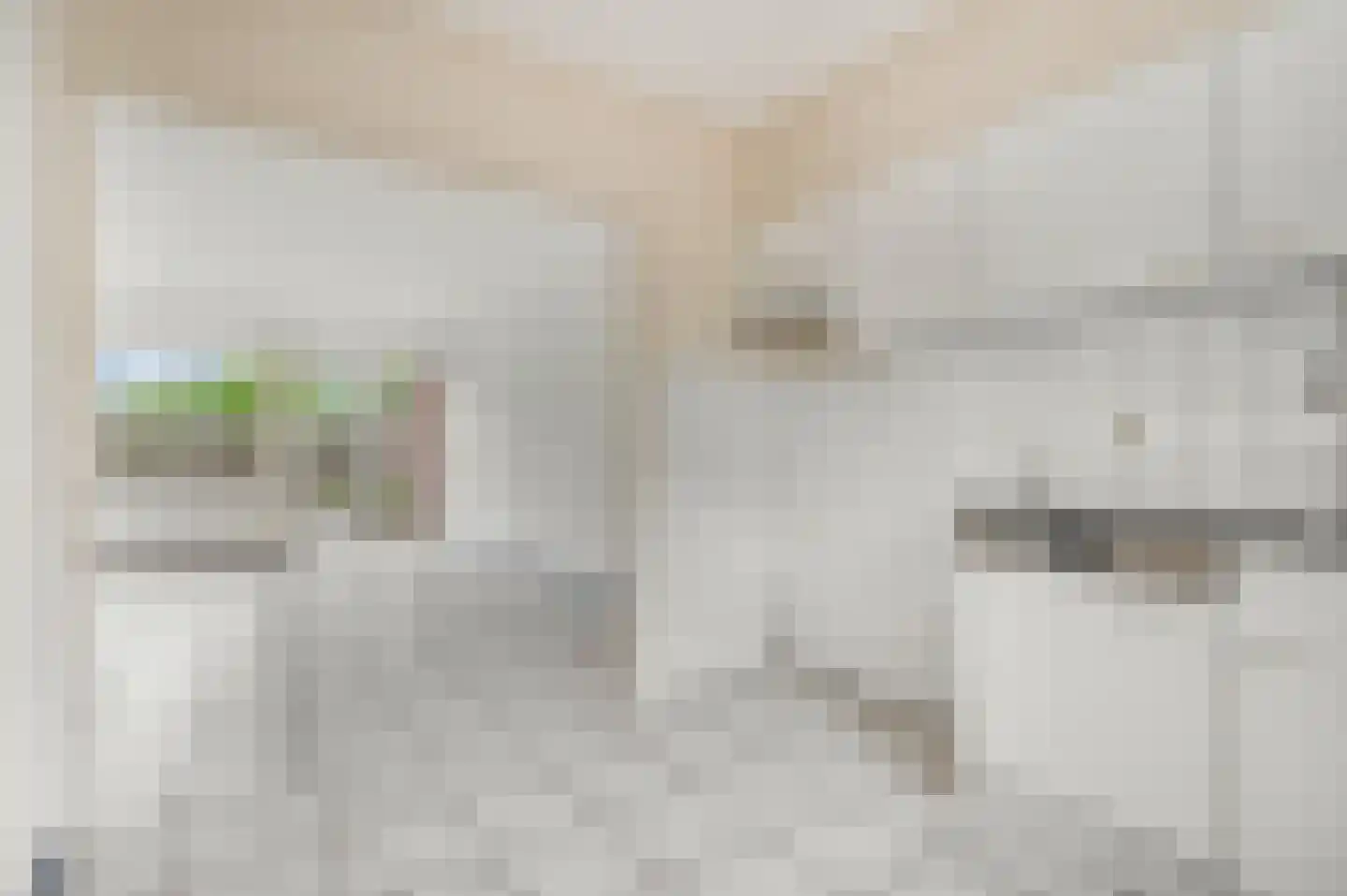 Pastoor Savenijelaan 1 Oosterhout thumbnail 14