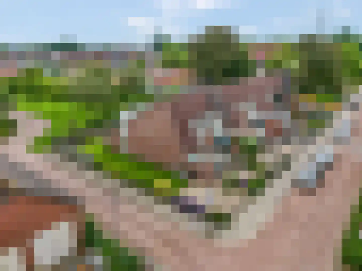 Pastoor Savenijelaan 1 Oosterhout thumbnail 32