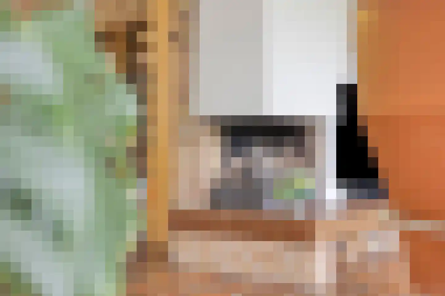 Pastoor Savenijelaan 4 Oosterhout thumbnail 10