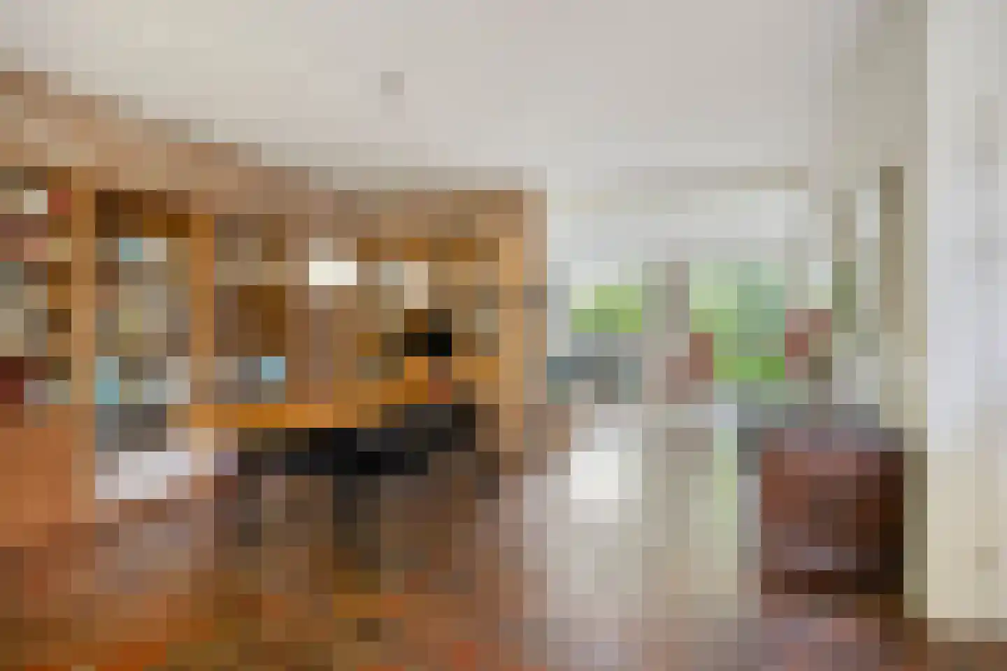 Pastoor Savenijelaan 4 Oosterhout thumbnail 13