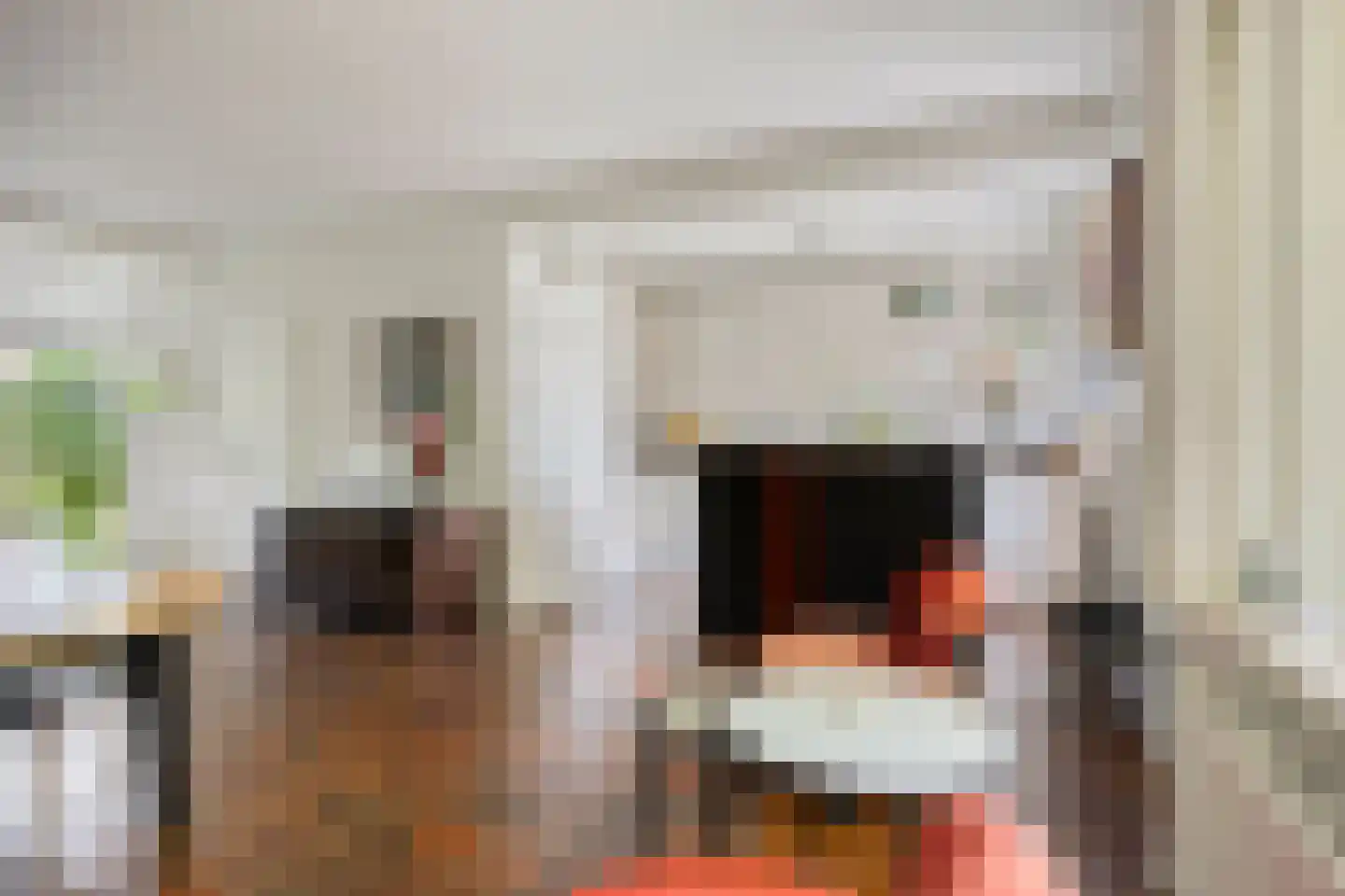 Pastoor Savenijelaan 4 Oosterhout thumbnail 15