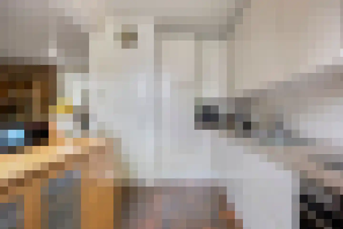 Pastoor Savenijelaan 4 Oosterhout thumbnail 19