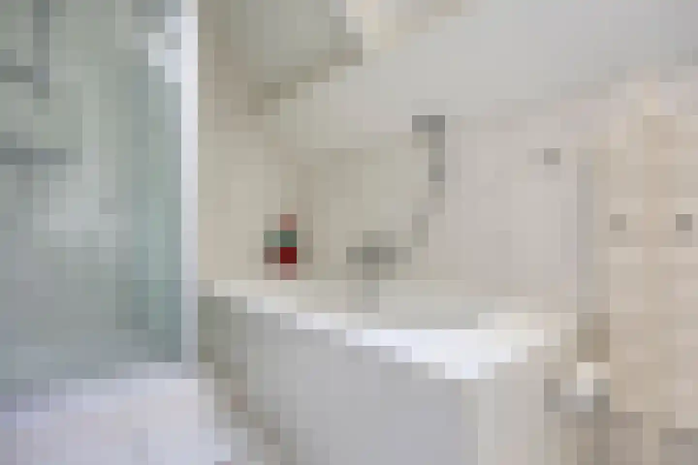 Pastoor Savenijelaan 4 Oosterhout thumbnail 34