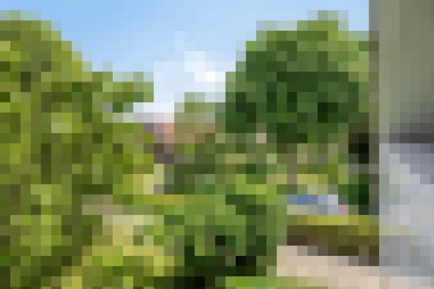 Pastoor Savenijelaan 4 Oosterhout thumbnail 46
