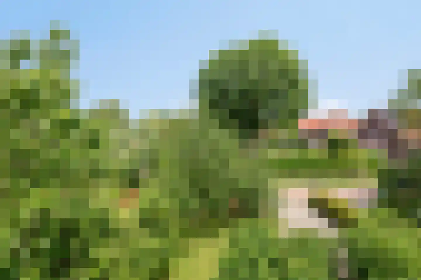 Pastoor Savenijelaan 4 Oosterhout thumbnail 47