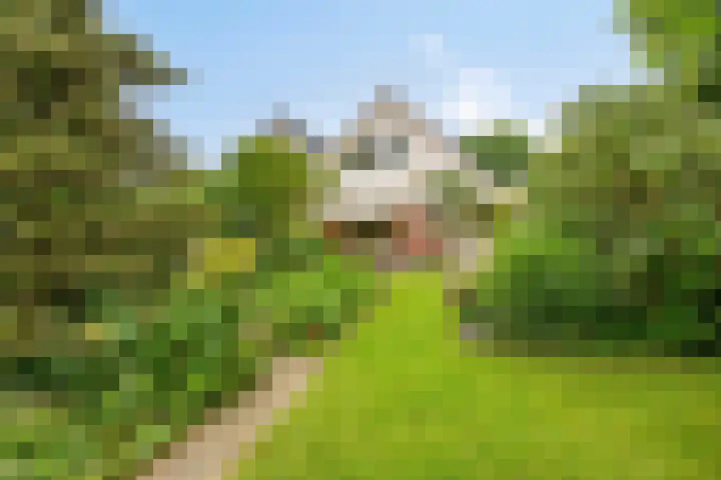 Pastoor Savenijelaan 4 Oosterhout thumbnail 50