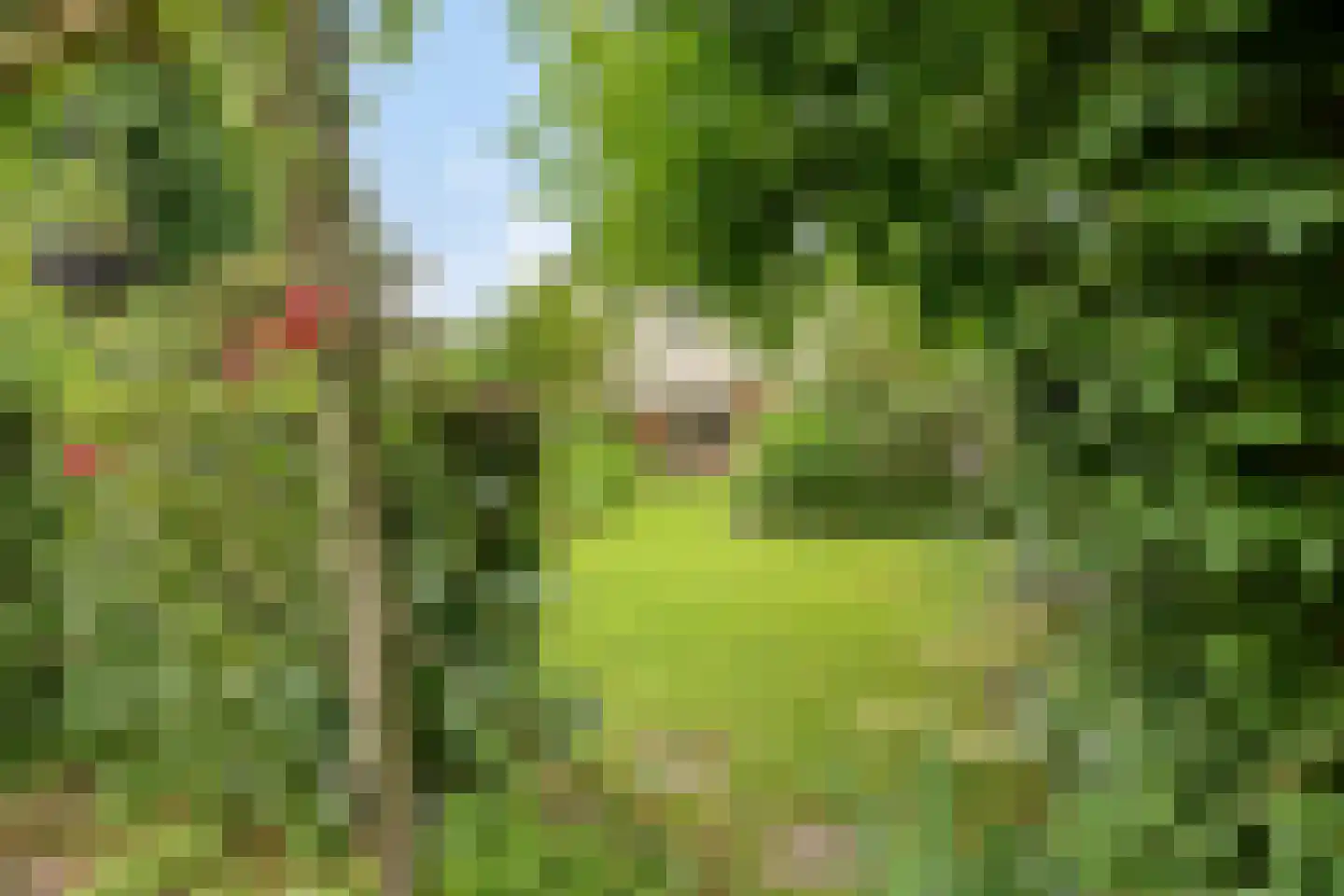 Pastoor Savenijelaan 4 Oosterhout thumbnail 52