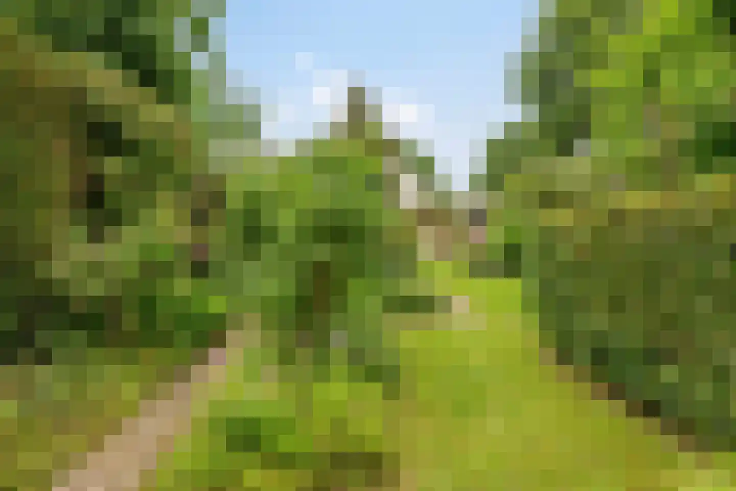 Pastoor Savenijelaan 4 Oosterhout thumbnail 53