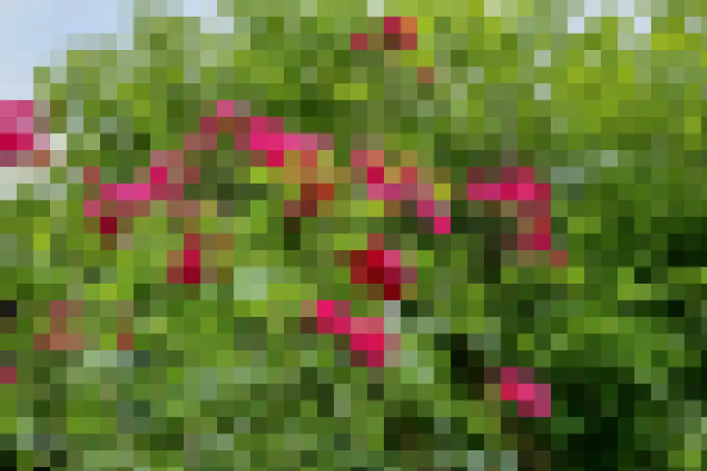 Pastoor Savenijelaan 4 Oosterhout thumbnail 54