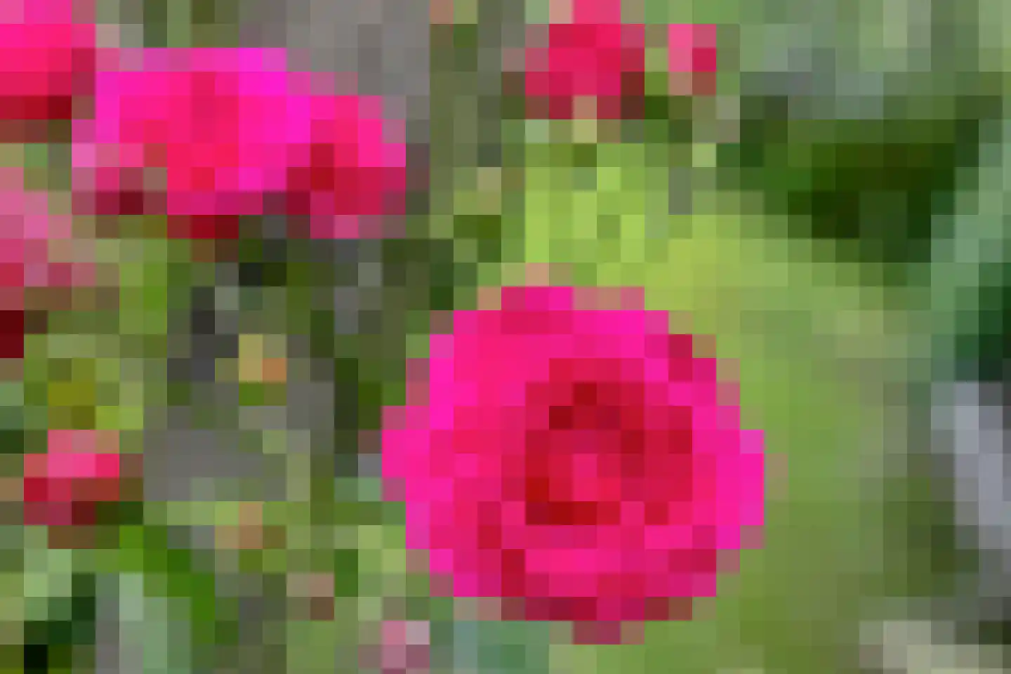 Pastoor Savenijelaan 4 Oosterhout thumbnail 55
