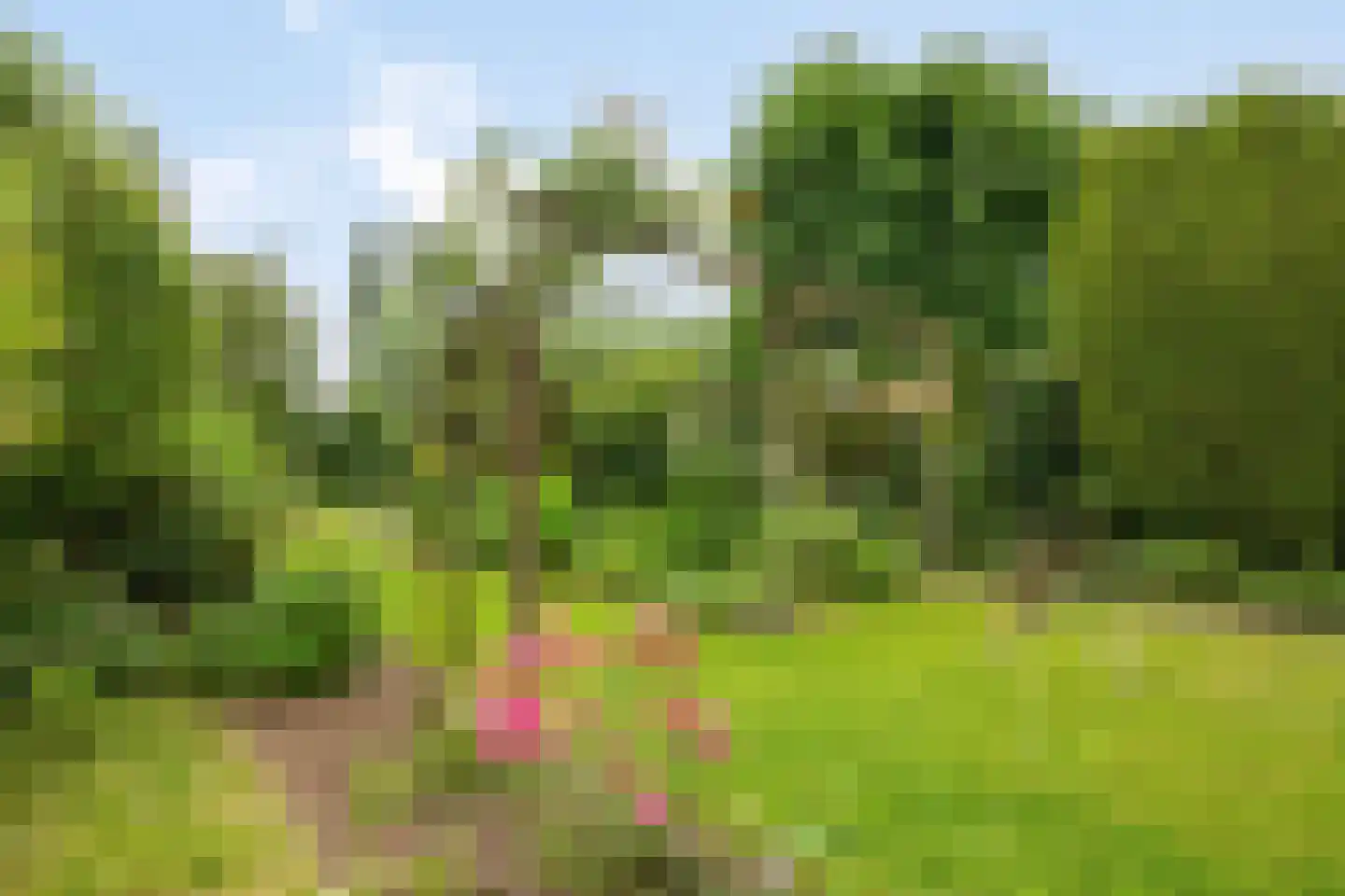 Pastoor Savenijelaan 4 Oosterhout thumbnail 56