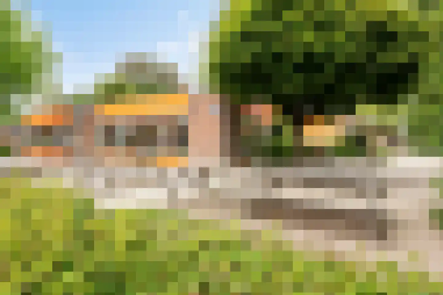 Pastoor Savenijelaan 4 Oosterhout thumbnail 57