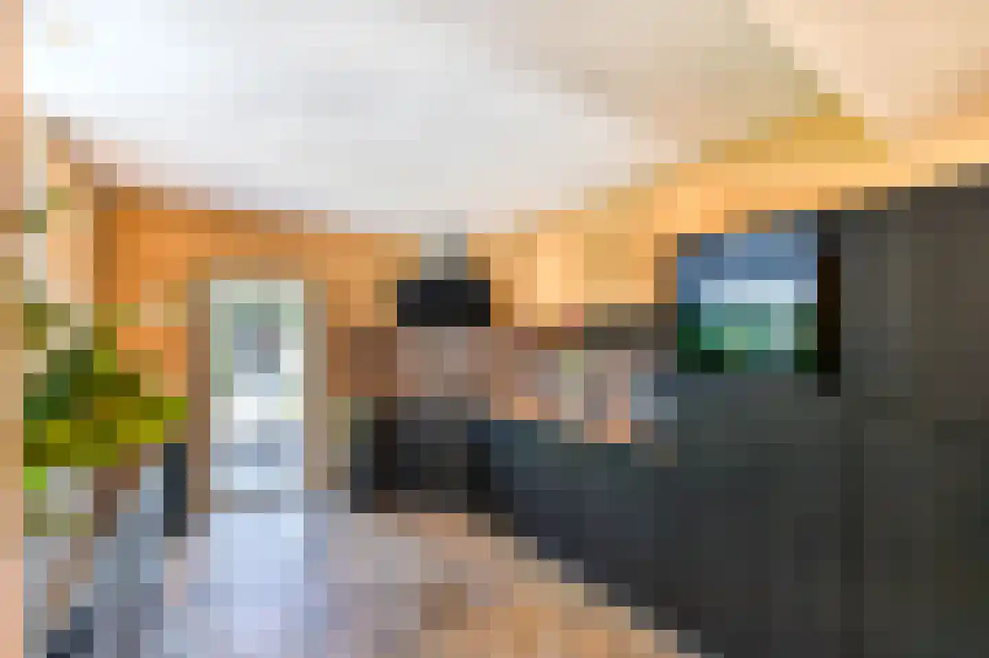 Pastoor Schaetsgestraat 8 Velden thumbnail 11