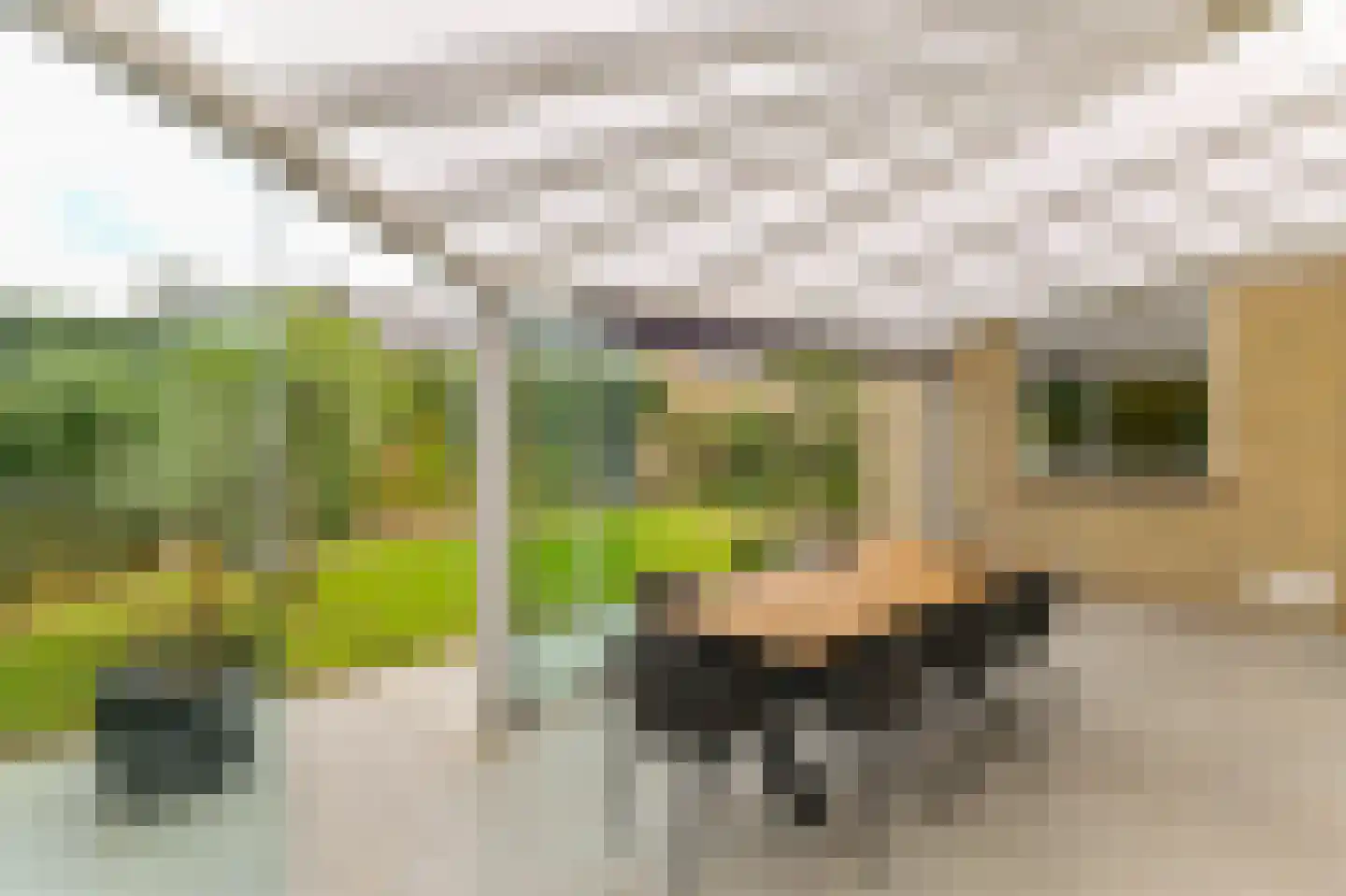 Pastoor Schaetsgestraat 8 Velden thumbnail 19