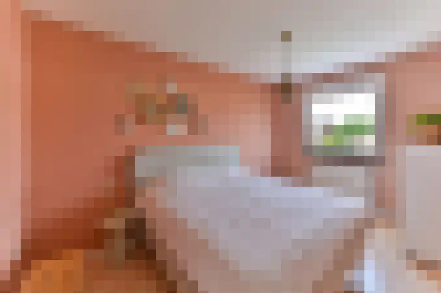 Pastoor Schaetsgestraat 8 Velden thumbnail 21