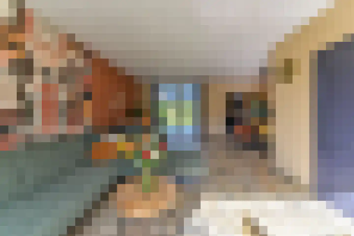 Pastoor Schaetsgestraat 8 Velden thumbnail 8