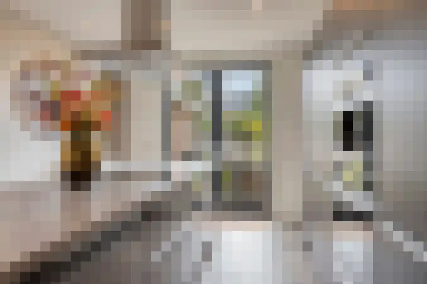 Pastoor Scheepersstraat 15 Vragender thumbnail 15