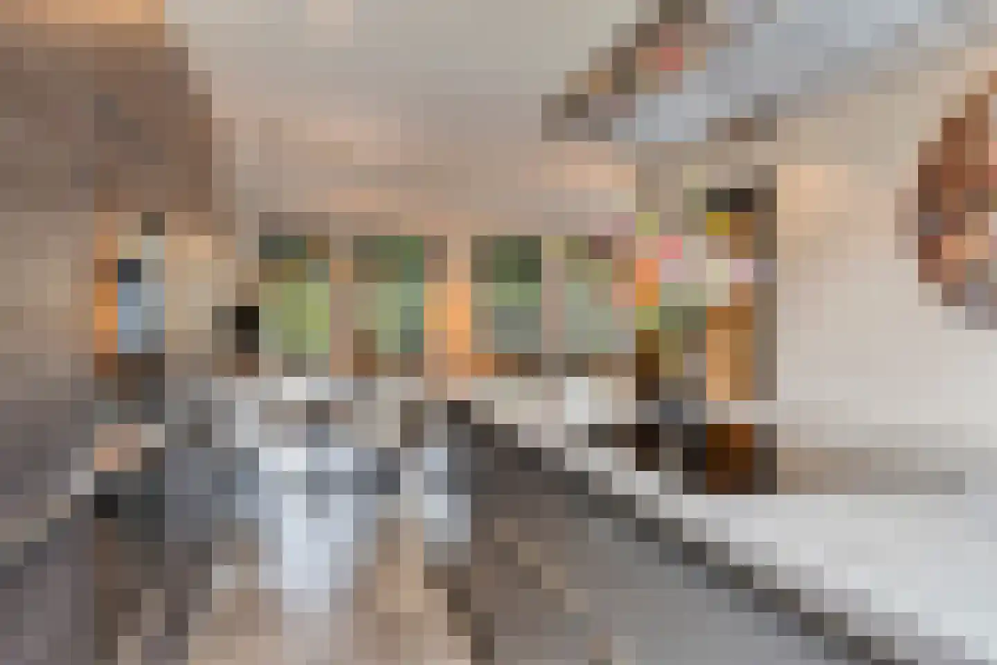 Pastoor Scheepersstraat 15 Vragender thumbnail 16
