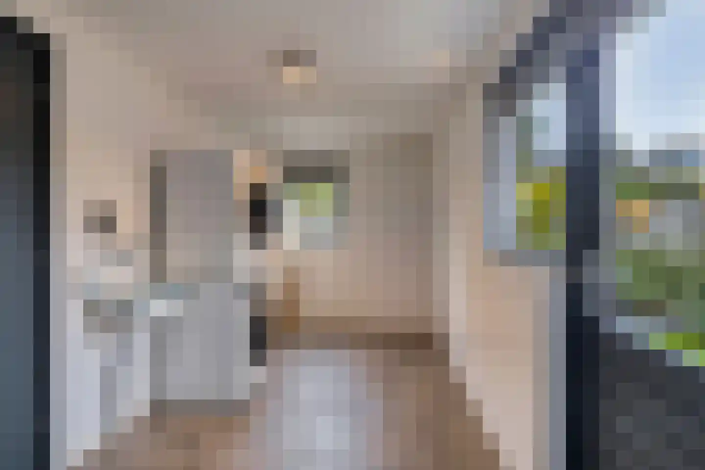 Pastoor Scheepersstraat 15 Vragender thumbnail 26
