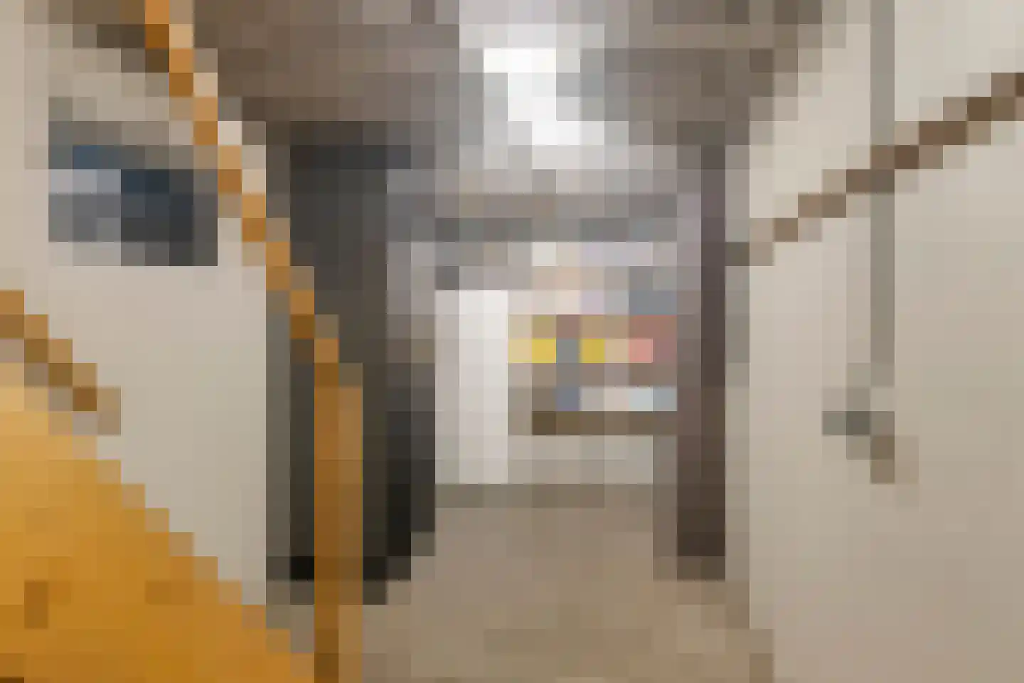 Pastoor Scheepersstraat 15 Vragender thumbnail 28