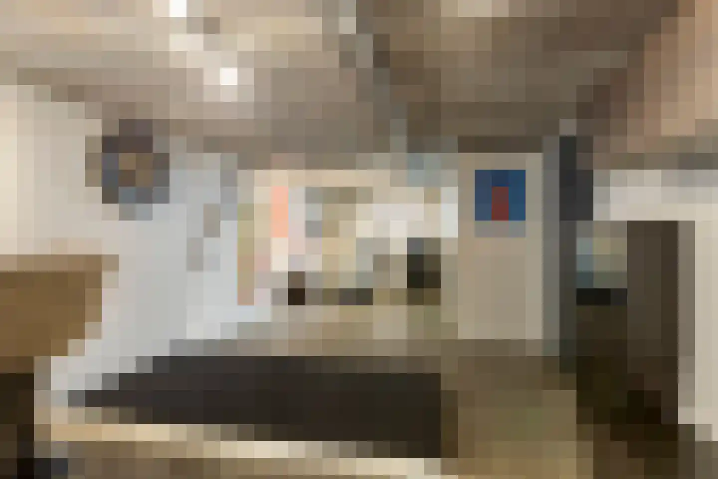 Pastoor Scheepersstraat 15 Vragender thumbnail 29