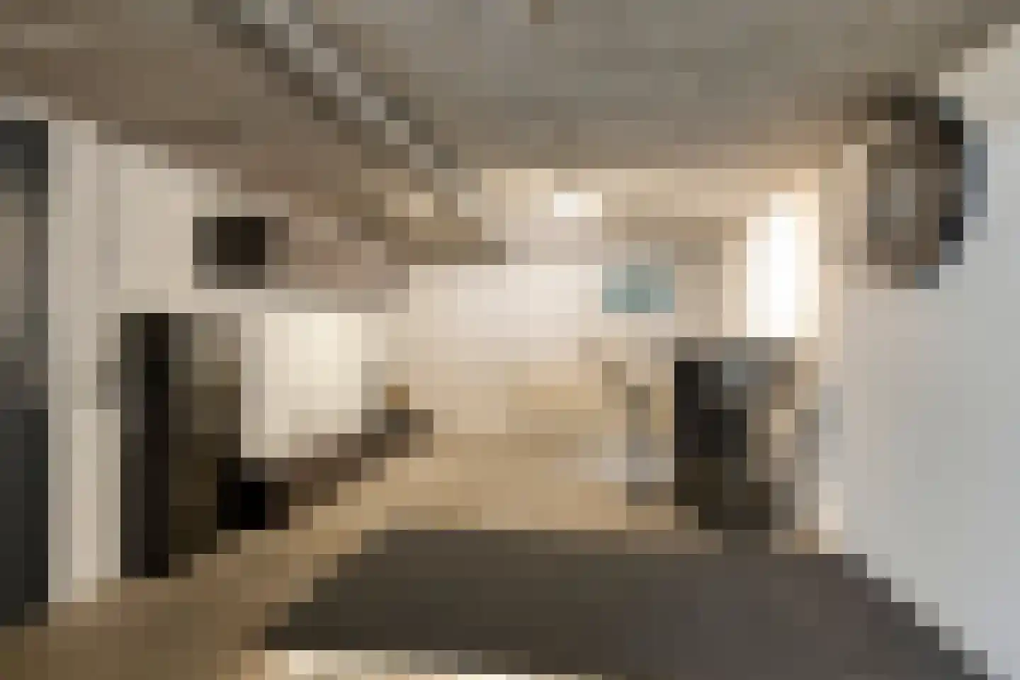 Pastoor Scheepersstraat 15 Vragender thumbnail 31
