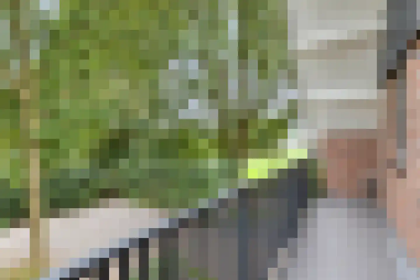 Pastoor Scheepersstraat 15 Vragender thumbnail 35