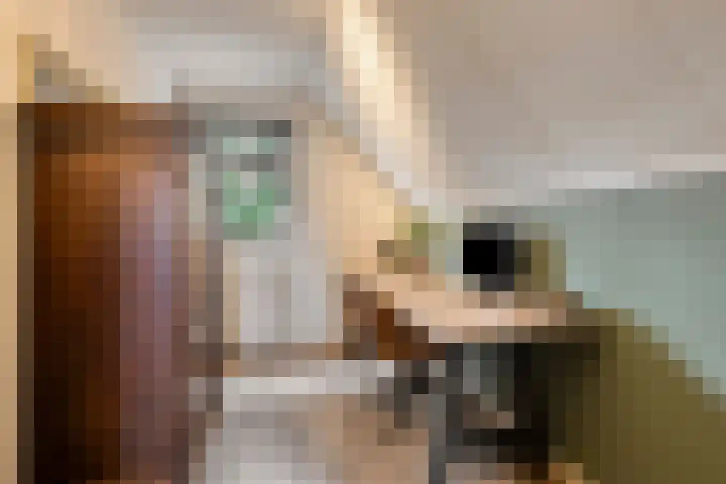 Pastoor Scheepersstraat 15 Vragender thumbnail 41