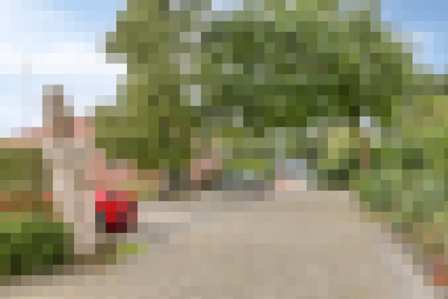 Pastoor Scheepersstraat 15 Vragender thumbnail 47